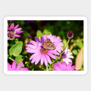 cli butterfly and lavender Sticker